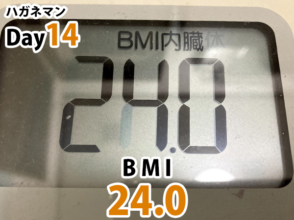 ハガネマン14日目BMI24.0