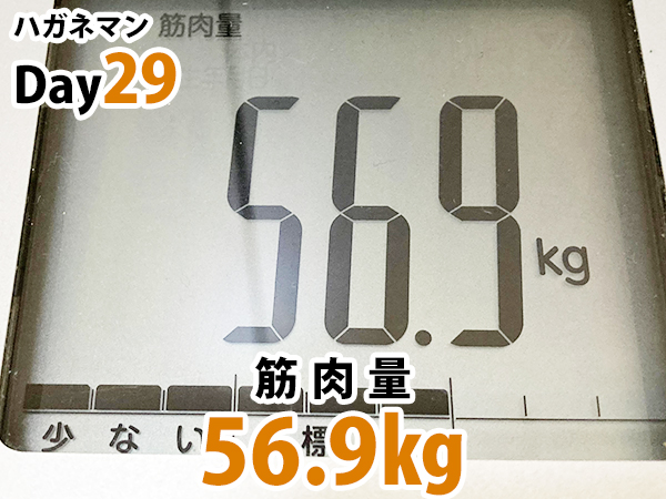 ハガネマンDay29日目筋肉量56.9キログラム