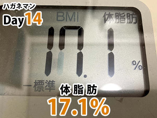 ハガネマン体脂肪３日目17.1％