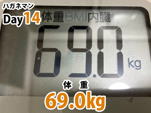 ハガネマン体重14日目69.0キログラム