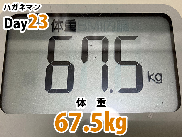 ハガネマン体重23日目67.5キログラム